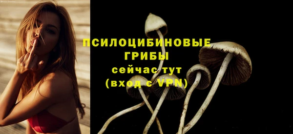 тгк Абаза