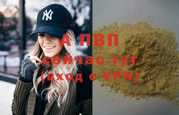 тгк Абаза