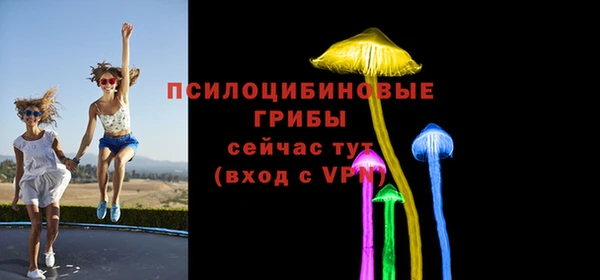 тгк Абаза