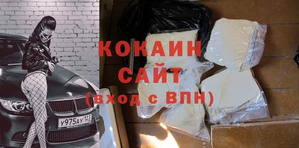 тгк Абаза