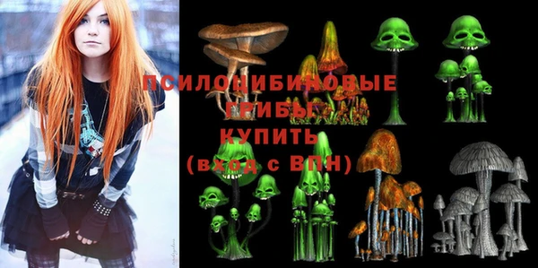 тгк Абаза