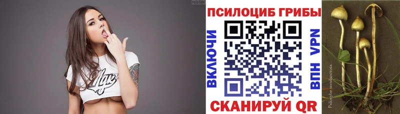 Галлюциногенные грибы MAGIC MUSHROOMS Старый Крым